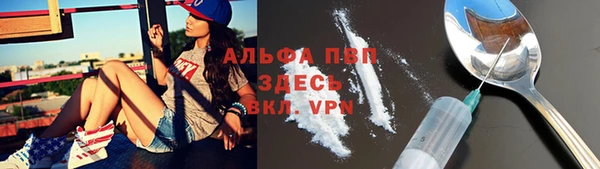 мет Алексин