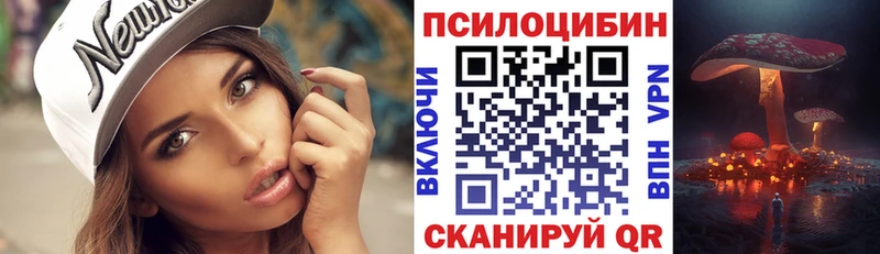 купить   блэк спрут вход  Галлюциногенные грибы Magic Shrooms  Петушки 
